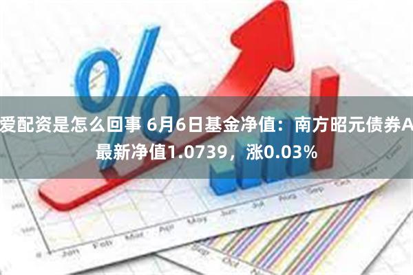 爱配资是怎么回事 6月6日基金净值：南方昭元债券A最新净值1.0739，涨0.03%