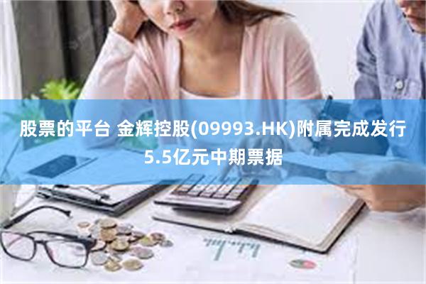 股票的平台 金辉控股(09993.HK)附属完成发行5.5亿元中期票据