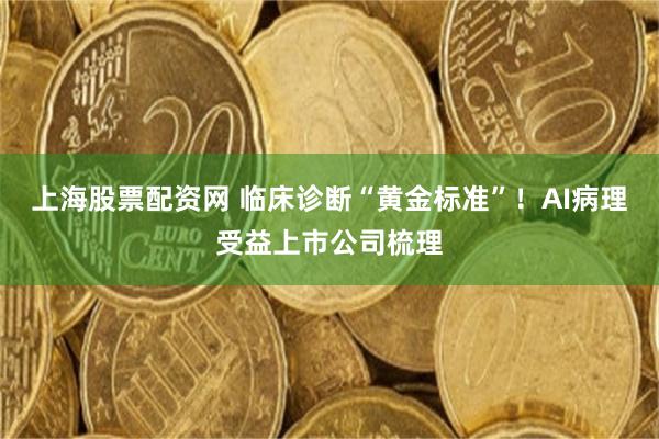 上海股票配资网 临床诊断“黄金标准”！AI病理受益上市公司梳理