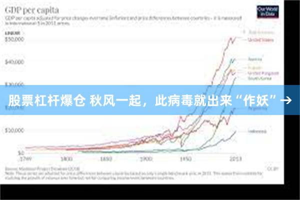 股票杠杆爆仓 秋风一起，此病毒就出来“作妖”→