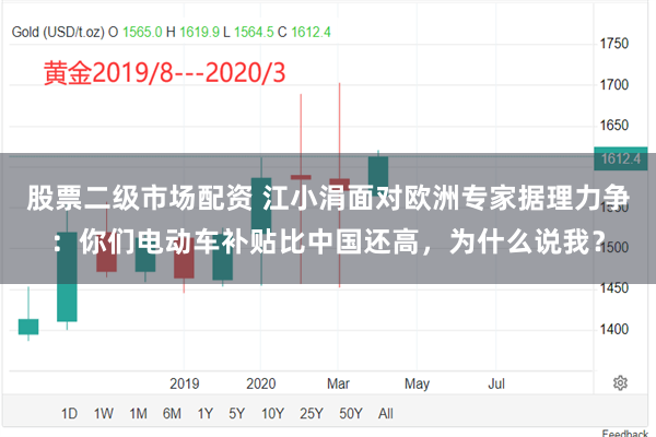 股票二级市场配资 江小涓面对欧洲专家据理力争：你们电动车补贴比中国还高，为什么说我？