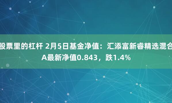 股票里的杠杆 2月5日基金净值：汇添富新睿精选混合A最新净值0.843，跌1.4%