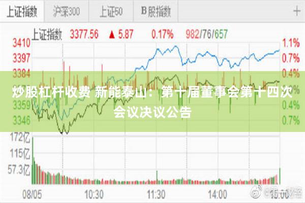 炒股杠杆收费 新能泰山：第十届董事会第十四次会议决议公告